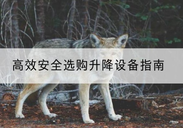 埇桥升降货梯厂家推荐-*安全选购升降设备指南
