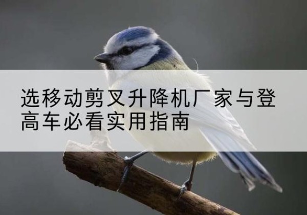 埇桥电动升降机厂家-选移动剪叉升降机厂家与登高车必看实用指南