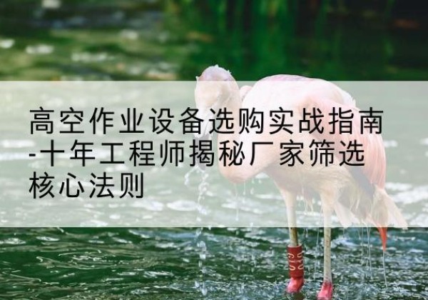 埇桥剪叉式升降机厂家-高空作业设备选购实战指南-十年工程师揭秘厂家筛选核心法则